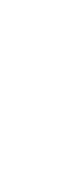 Tonchin logo - FoodFluence client